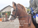 JAC_9870