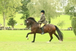 SBM_72000