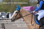 BPP_1376