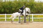 SBM_005275
