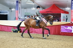 SBM_23217