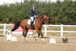 SBM_010459