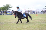SBM_10090
