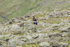 Duddon Long-782