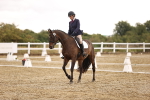 SBM_001989