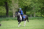 WJ6_3447