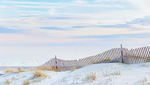 SAND FENCE #2 - LONG POINT BEACH