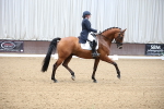 SBM_004436