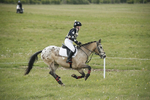 BVHT 140517  NXC -150