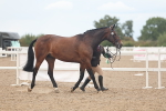 SBM_07965