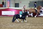 SBM_15245