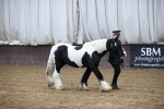 SBM_5347
