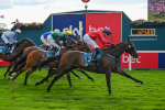 Race 7 5.00pm Sky Bet Extra Places Every Day Handicap portfolio