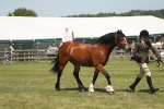 SBM_06976