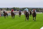 290826-Race 3-Fans Favourite-6459