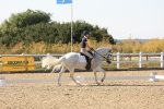 SBM_006911