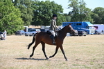 WJ6_8354