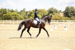 SBM_009484