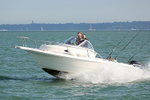150919 SEA FOX WT7A2302