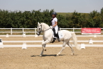 SBM_004415