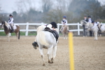 SBM_003937