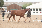 SBM_08439