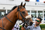 Race 2 14.45pm Well-Earned Retirement Neal Kidd Nursery Handicap portfolio