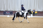 SBM_001338