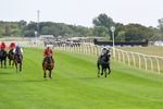 260826-Race 1-Mugheer-2110