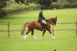 SBM_73693