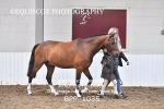 BPP_1035