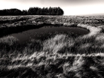 Skye Pond 07