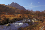 Tryfan in spring 5
