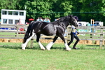 SBM_10150