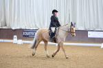 SBM_000235