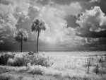 Jim W Bagwell's Portfolio portfolio