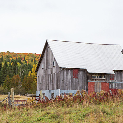 An old barn near Bristol, New Brunswick
