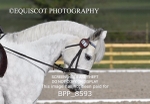 BPP_8593