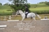 BPP_9961
