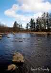 Galloway Forest