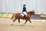 SBM_011555