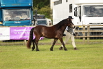 SBM_00379