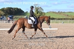 BPP_9385