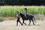 WJ6_7965