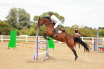 SBM_007095