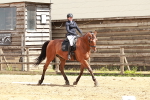 SBM_003594