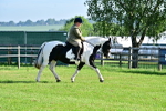 SBM_11381