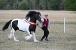 WJ7_8438