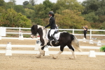 SBM_001290
