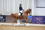 SBM_002648